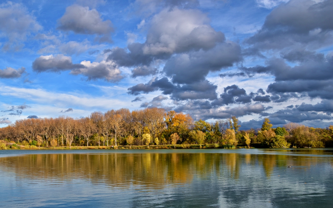 Herbst am Baggersee