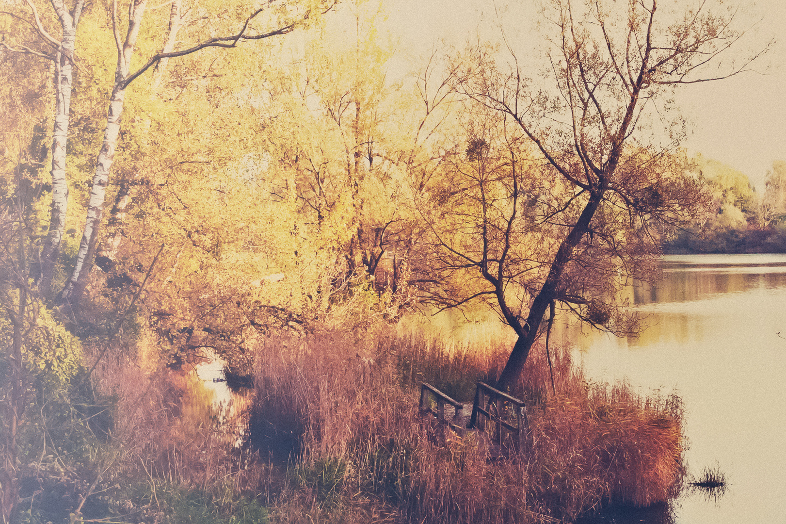 Herbst am Baggersee