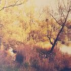 Herbst am Baggersee