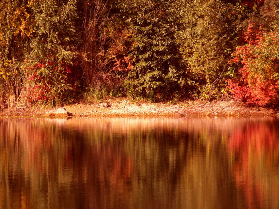 Herbst am Baggersee