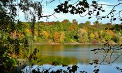 Herbst am Baggersee in Leverkusen