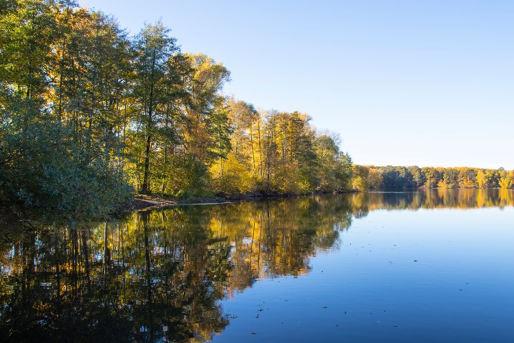 Herbst am Baggersee_D4A8806