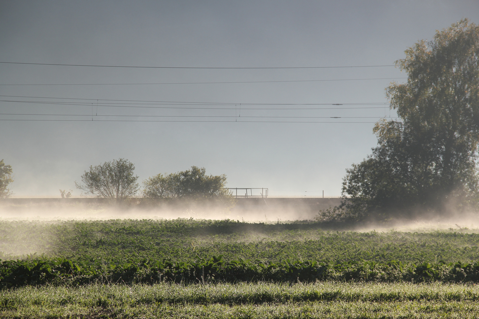 Herbst am Bahndamm