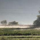 Herbst am Bahndamm