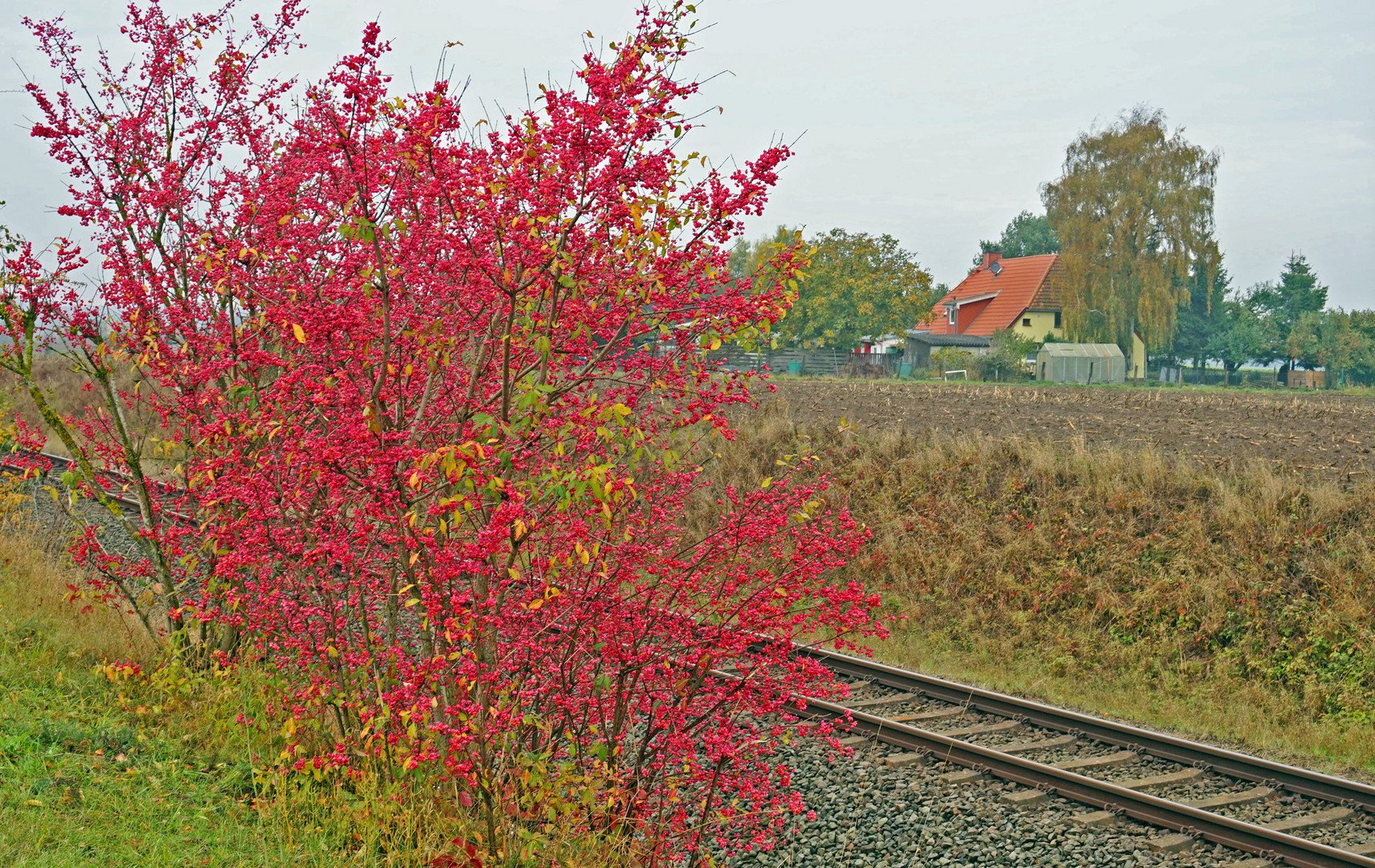 Herbst am Bahndamm