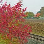 Herbst am Bahndamm