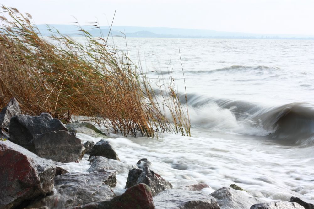 ~ Herbst am Balaton ~