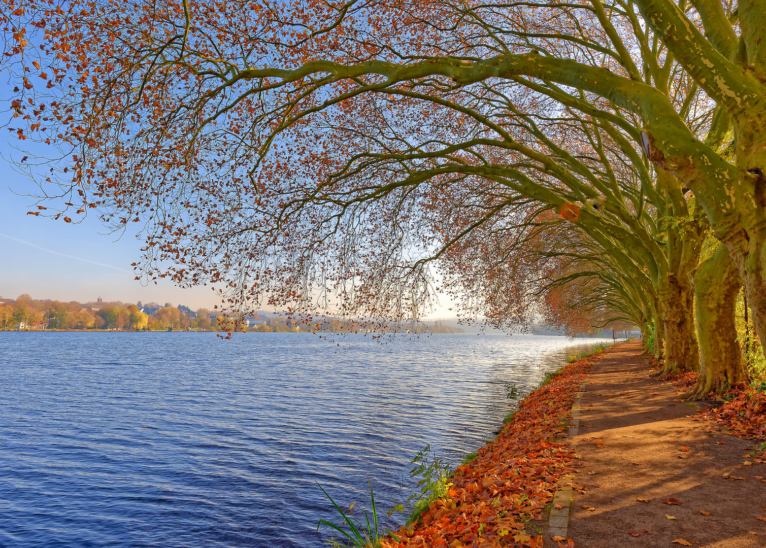  ° Herbst am Baldeney See ° 