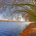  ° Herbst am Baldeney See ° 