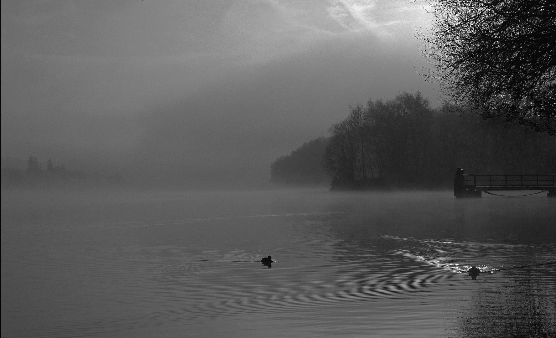 Herbst am Baldeneysee