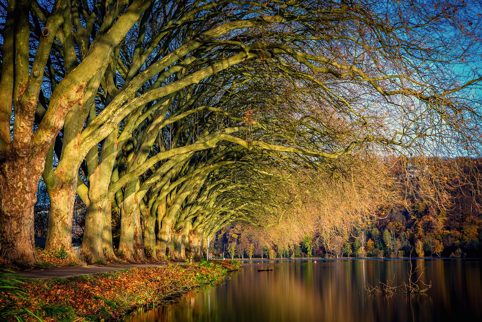 Herbst am Baldeneysee