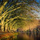 Herbst am Baldeneysee