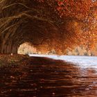 Herbst am Baldeneysee