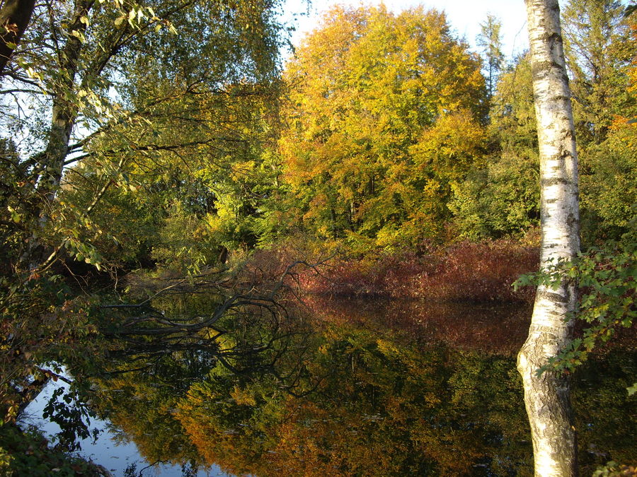 Herbst am Baldeneysee