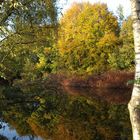 Herbst am Baldeneysee