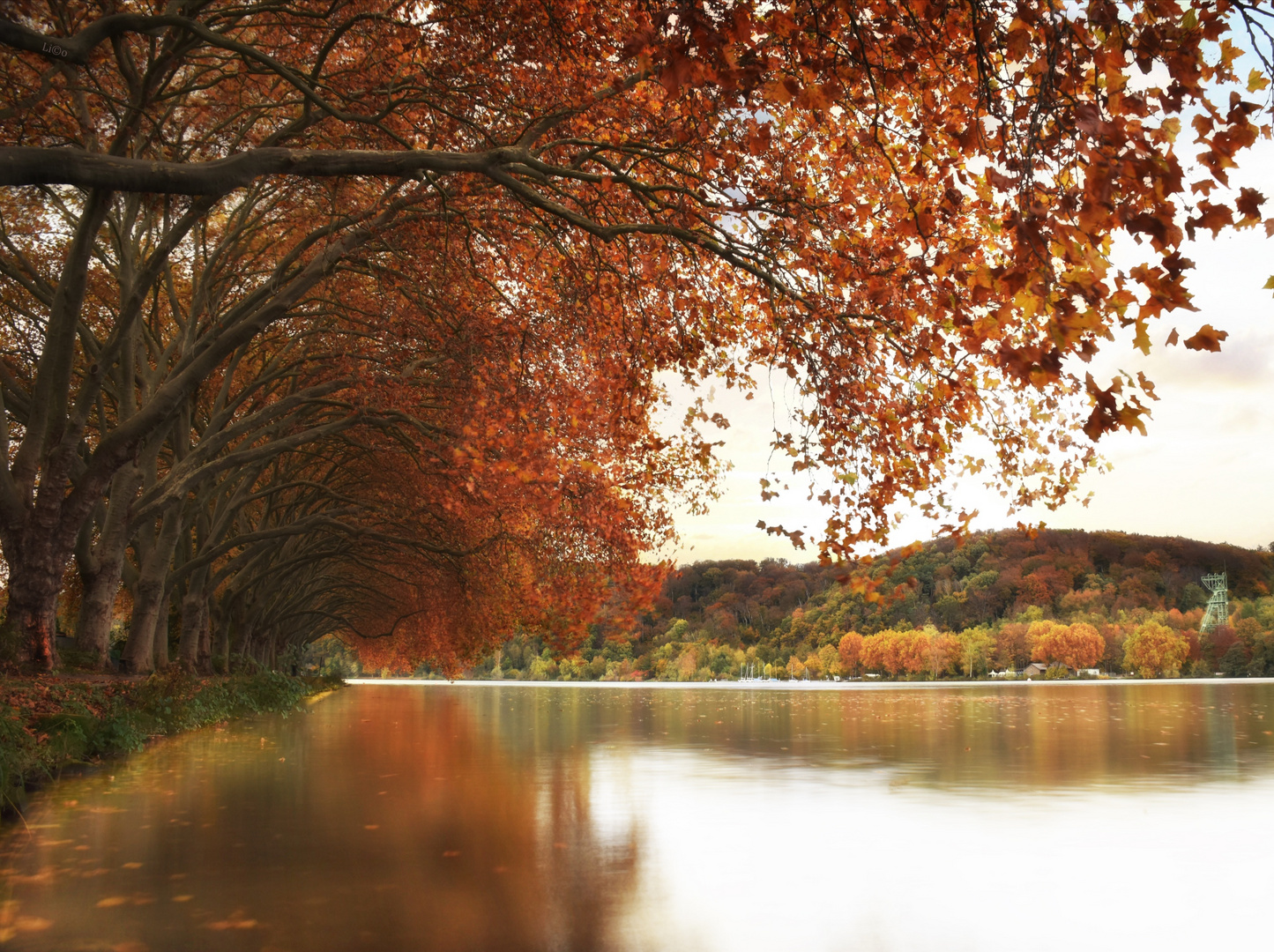 Herbst am Baldeneysee 