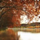 Herbst am Baldeneysee 