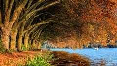 Herbst am Baldeneysee in Essen