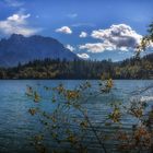 ...Herbst am Barmsee...