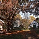 Herbst am Bauernhof