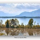 Herbst am bayrischen Meer