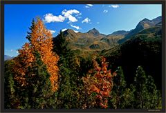 Herbst am Berg