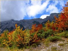 Herbst am Berg