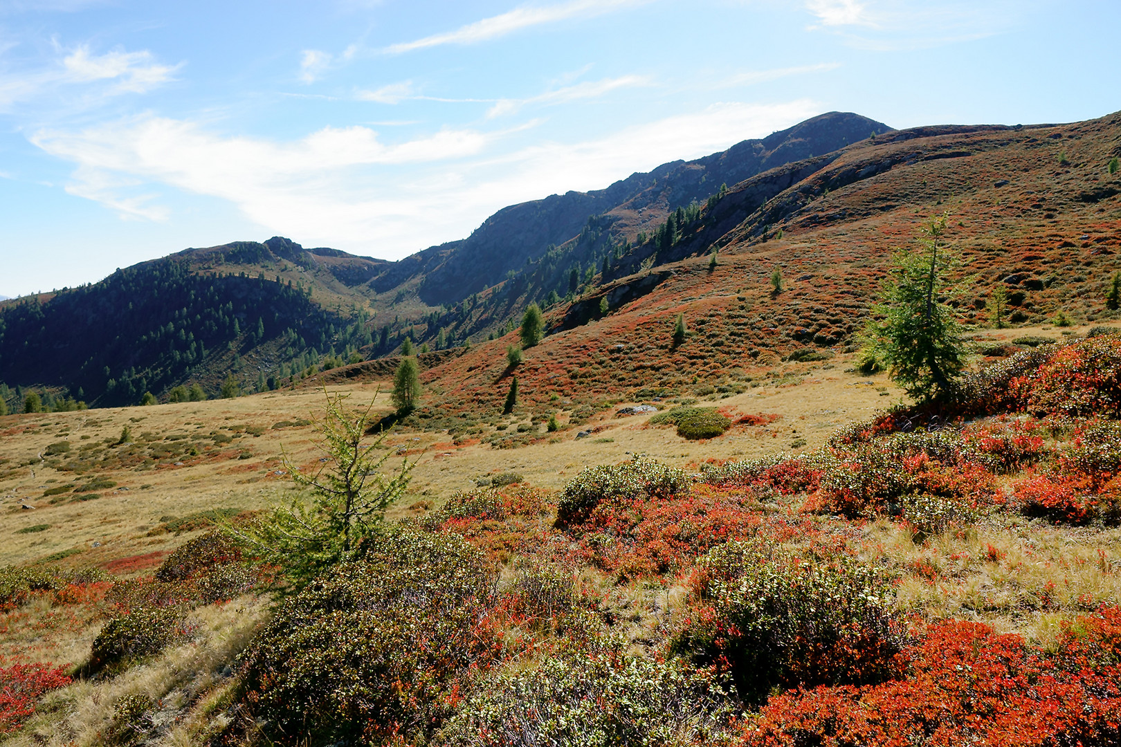 Herbst am Berg