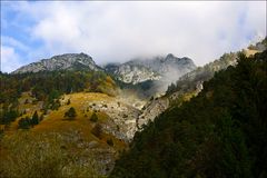 Herbst am Berg