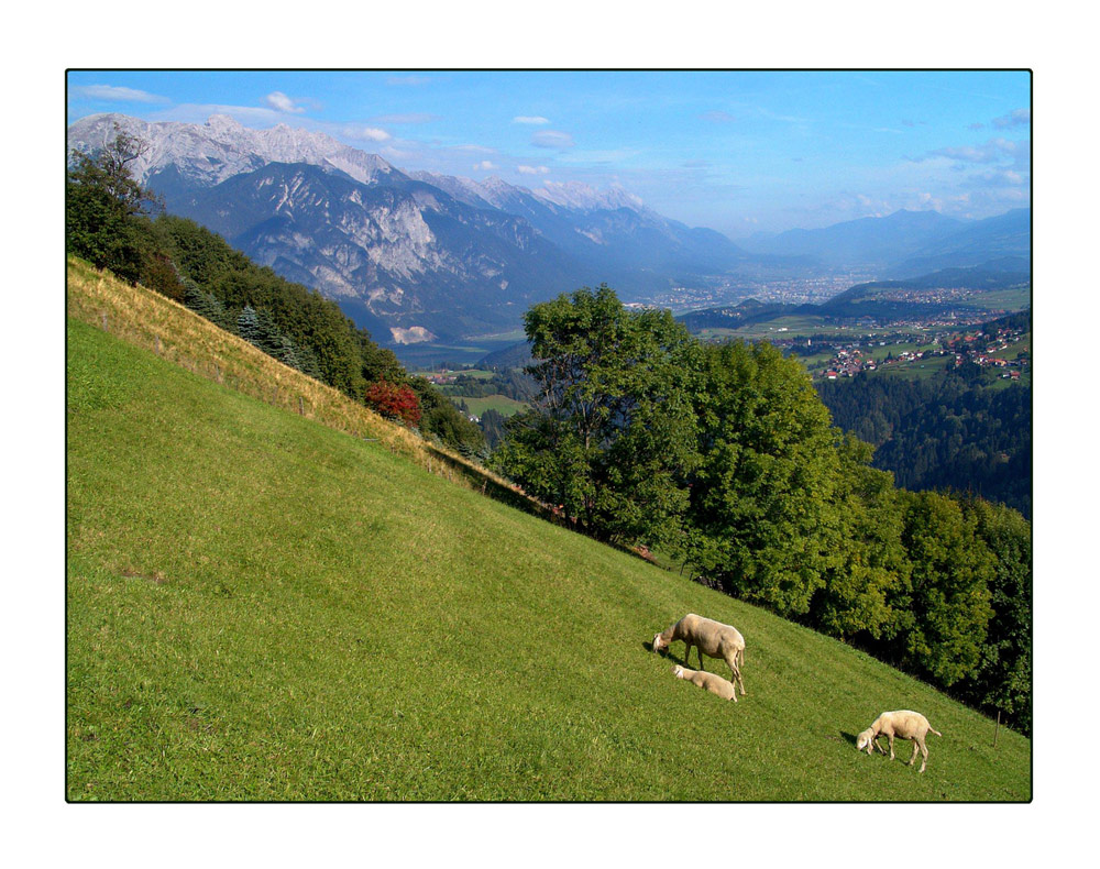 Herbst am Berg 3