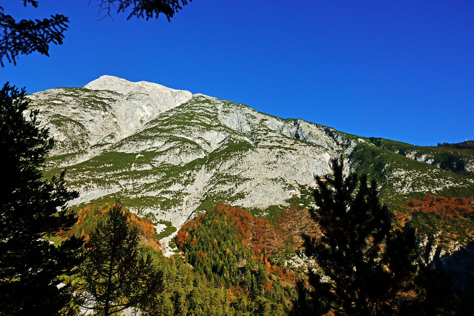 Herbst am Berg