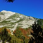 Herbst am Berg