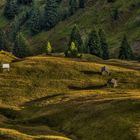 Herbst am Berg