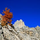 Herbst am Berg