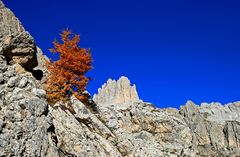 Herbst am Berg