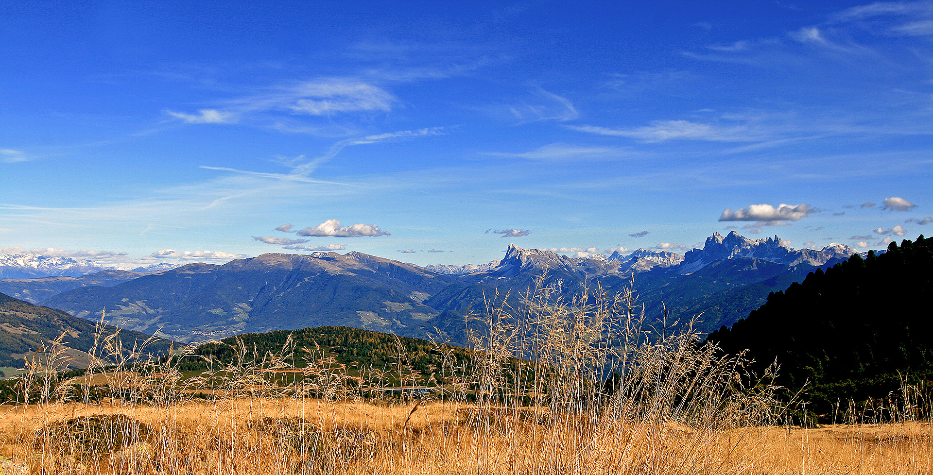 Herbst am Berg