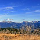 Herbst am Berg