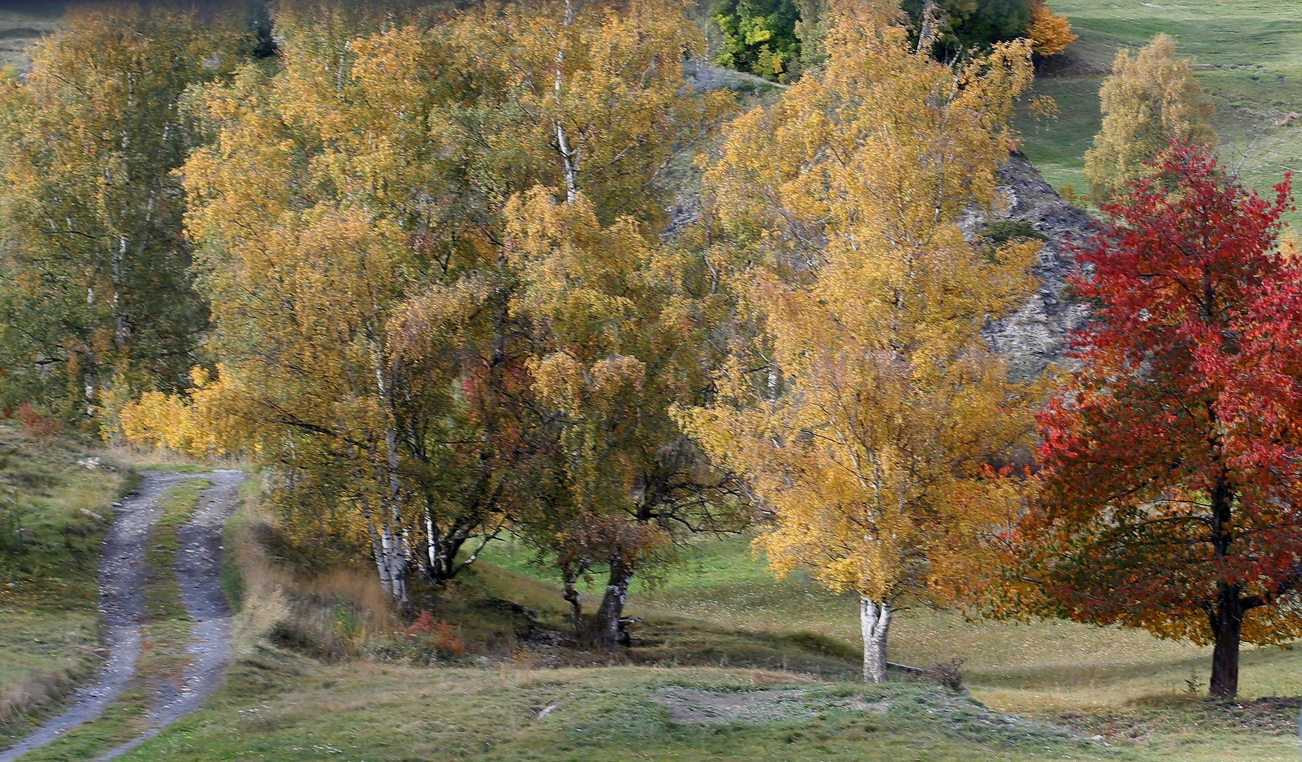 Herbst am Berg