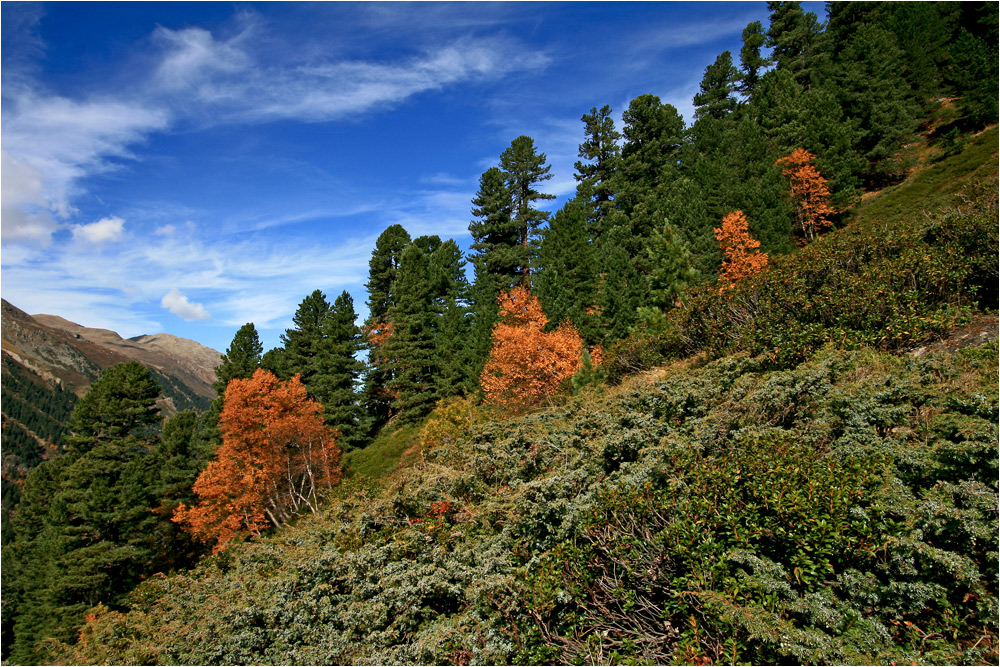 Herbst am Berg