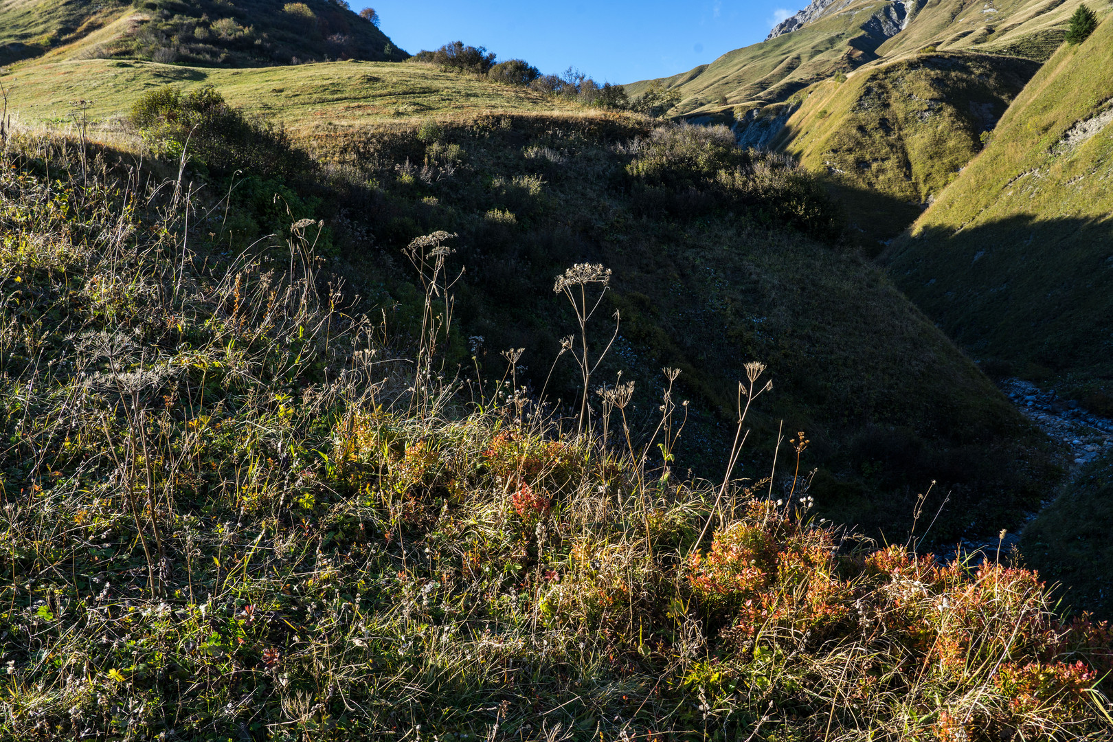 Herbst am Berg