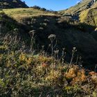 Herbst am Berg