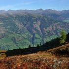 Herbst am Berg