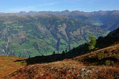 Herbst am Berg