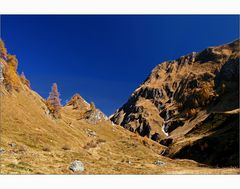 Herbst am Berg