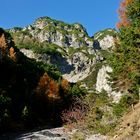 Herbst am Berg