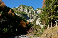 Herbst am Berg