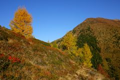 Herbst am Berg