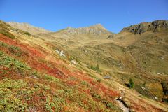 Herbst am Berg