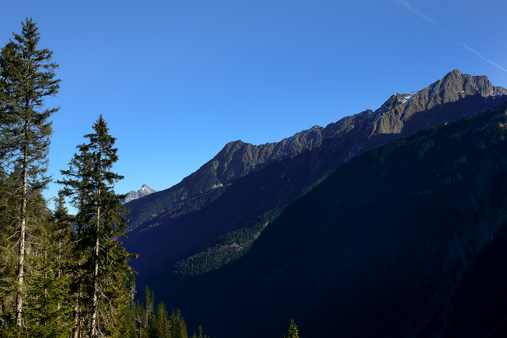 Herbst am Berg