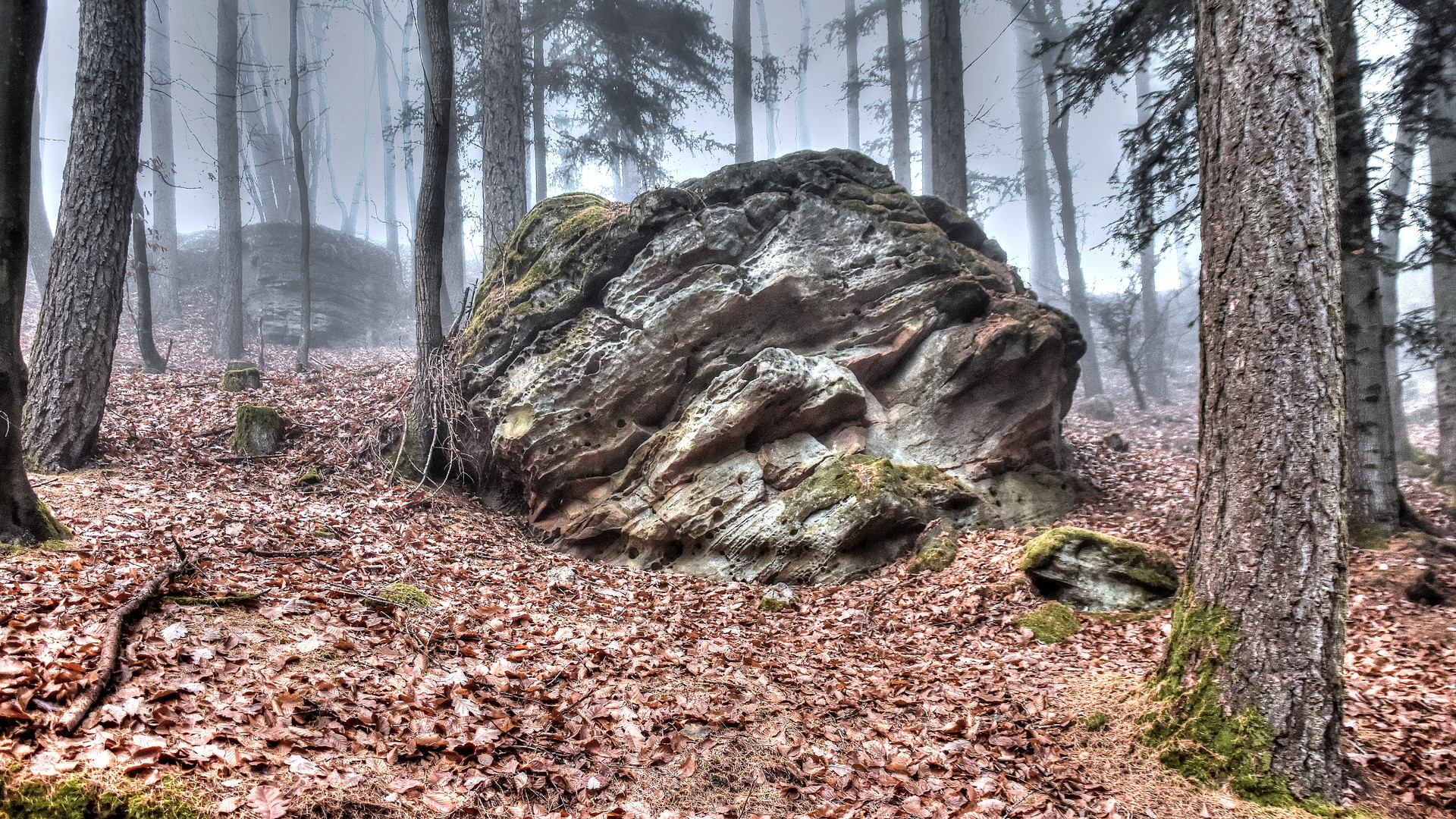 Herbst am Berg-Hang (...in der Eifel...)